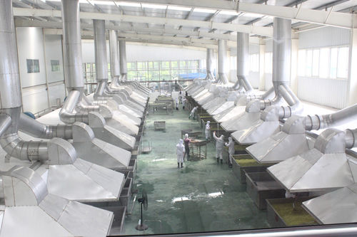 Sécheur pour les légumes - HGX Series - SHAOXING WALLEY FOOD MACHINERY CO., LTD.