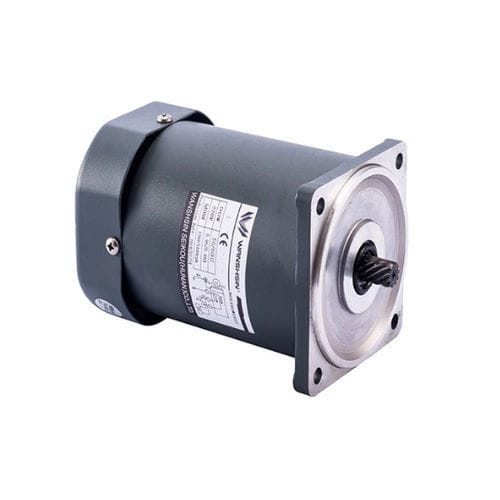 Moteur asynchrone - 60YR06GV11 - WANSHSIN SEIKOU (HUNAN) CO., LTD. - AC / 380V / 220 V