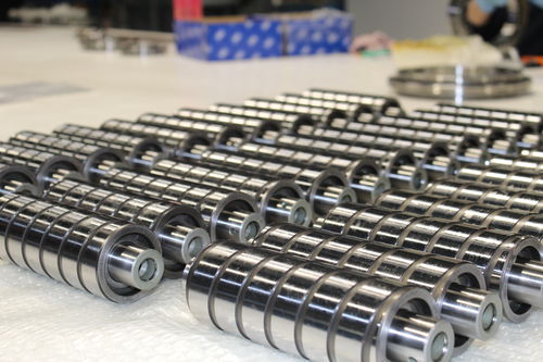 Roulement à rouleaux cylindriques - Faro Industriale S.r.l. - radial / en acier inoxydable / pour engin