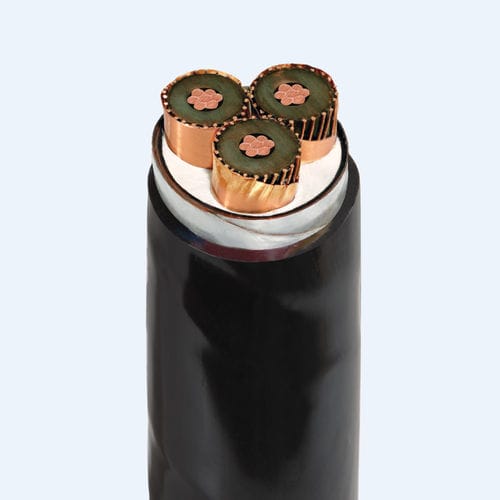 Câble électrique d'alimentation - CXV/SEhh/DSTA-W - Thinh Phat Cables Joint Stock Company - isolé / blindé / avec écran en cuivre