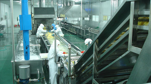 Ligne de transformation de fruits de lavage - Moon Environment Technology Co.,Ltd.