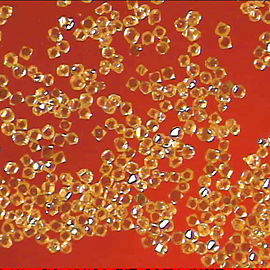 Diamant disque - SCDA-1 - Zhengzhou Sino-Crystal Diamond Company - de haute pureté / pour outil de coupe / pour polissage