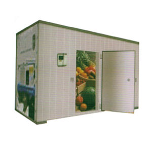 Chambre froide à énergie solaire - Fixed - Shenzhen Everwin Precision Technology Co.,Ltd - de congélation
