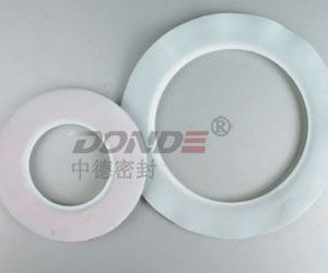 Joint en graphite - ZD-G1700 - cixi zonde sealing and gasket.co.,Ltd - en caoutchouc / en PTFE / en PVC
