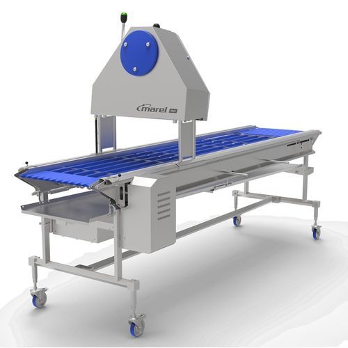 Système d'inspection optique - IRIS FP - JBT Corporation - par vision vidéo / à caméra / automatique