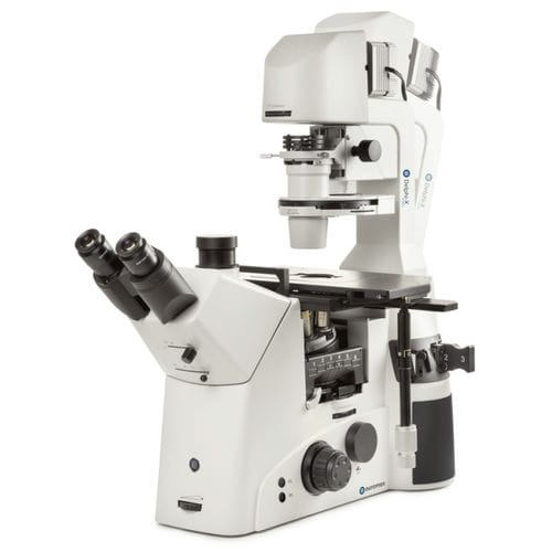 Microscope optique - Delphi-X Inverso series - Euromex - industriel / inversé / trinoculaire