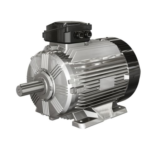 Moteur asynchrone - WE3 series - Wolong Electric Group - triphasé / IP55 / IP65
