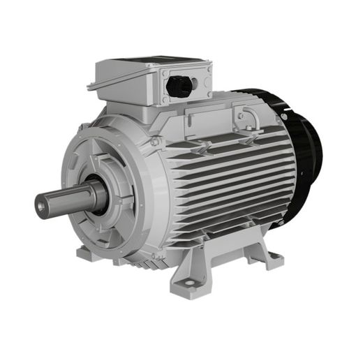 Moteur asynchrone - W series - Wolong Electric Group - à carcasse en fonte / IP55 / IP65
