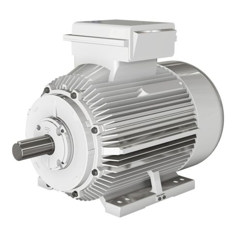 Moteur asynchrone - BD series - Wolong Electric Group - monophasé / à carcasse en fonte / IP55