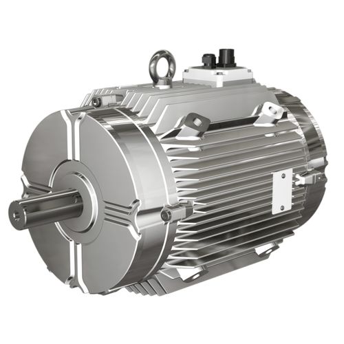Moteur contrôlé par variateur de fréquence - W FUMEX® series  - Wolong Electric Group - asynchrone / triphasé / à carcasse en fonte