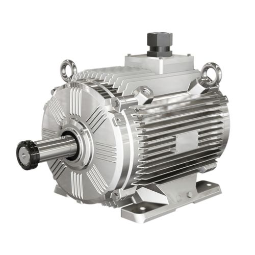 Moteur asynchrone - WEXF series  - Wolong Electric Group - triphasé / à carcasse en fonte / IP55