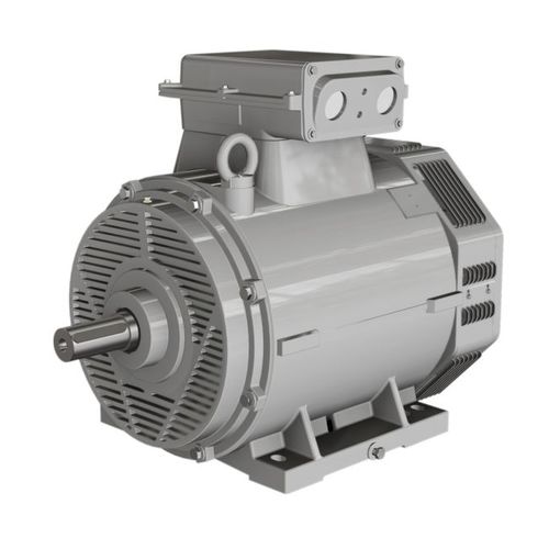 Moteur asynchrone - BN series - Wolong Electric Group - triphasé / à carcasse en fonte / IP23
