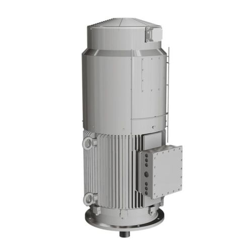Moteur asynchrone - BKZ series - Wolong Electric Group - triphasé / IP55 / IP65
