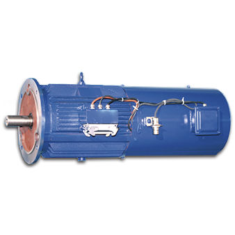Moteur asynchrone - Jiang Su Weiteli Motor Co.,Ltd - IP56 / d'orientation d'éolienne / à haut rendement