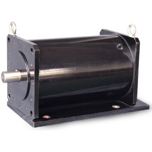 Moteur à induction - WTGSDJ series - Jiang Su Weiteli Motor Co.,Ltd - refroidi par eau / pour véhicule électrique / RS-485
