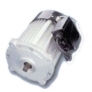 Moteur faible vitesse - WTGSDJ1 - Jiang Su Weiteli Motor Co.,Ltd - synchrone / à aimants permanents / pour véhicule électrique