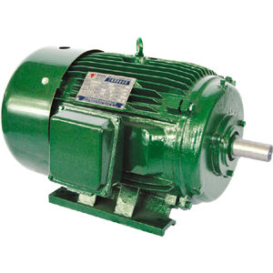 Moteur NEMA - Jiang Su Weiteli Motor Co.,Ltd - asynchrone / contrôlé par variateur de fréquence