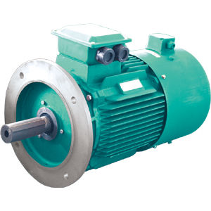Moteur contrôlé par variateur de fréquence - YVF2 series - Jiang Su Weiteli Motor Co.,Ltd - à induction / triphasé / IP54