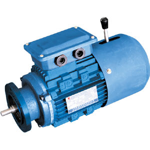 Moteur-frein asynchrone - YEJ series - Jiang Su Weiteli Motor Co.,Ltd - triphasé / avec frein électromagnétique / TEFC