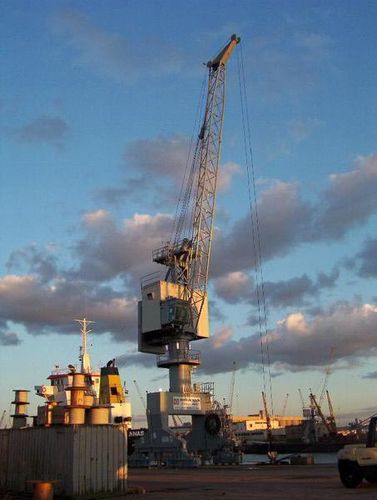Grue fixe - Teamnetwork S.r.l - à flèche / de manutention / pour container