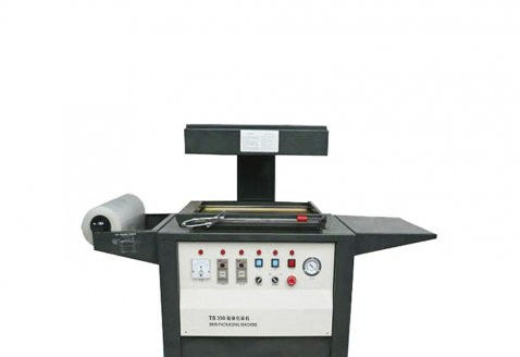 Machine d'emballage automatique - DZT-540 - Qingdao Ausense Packing Equipment Co., Ltd. - sous vide