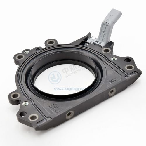 Joint à lèvre - ANHUI ZHONGDING SEALING PARTS CO.,LTD - en plastique / en PTFE / circulaire