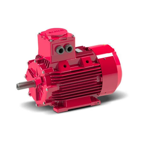 Moteur antidéflagrant - GG1Exd 90 L 6b - Gamak Makine Sanayi A.Ş. - asynchrone / 3-phases / 400V