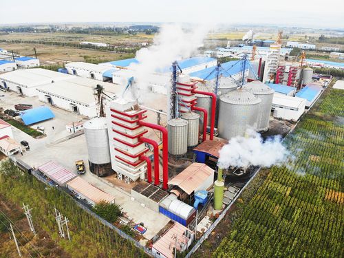Séchoir à grains de maïs - SNHT series - Henan SRON SILO ENGINEERING Co., Ltd - de riz paddy / de blé / de légumineuses