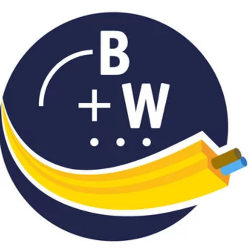 Logiciel de mesure - BW2916 - Bihl+Wiedemann GmbH - de commande / configuration / de création