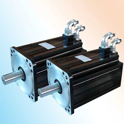 Servomoteur synchrone - S series - Dalian Dalmo Electric Motor Co. Ltd - AC / 220 V / 380V