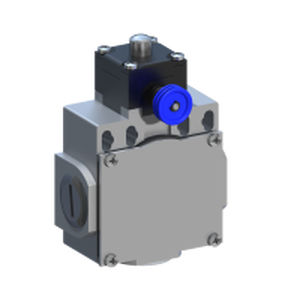 Contact fin de course IP66 - DM1R11 series - Comepi srl - avec plongeur / corps en métal