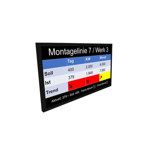 Moniteur TFT - migra  - microSYST Systemelectronic - LCD / versatile / 55"