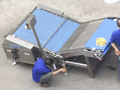 Machine de tri pour biscuits - LB1000 - Guangdong Shunde Huaji Machinery Industrial Co., Ltd. - pour l'industrie agroalimentaire / automatique / à bande