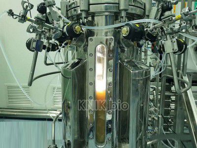 Bioréacteur UV - KNIK CO.,LTD. - à cuve agitée / pour l'industrie pharmaceutique