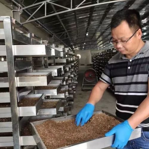 Station de traitement des déchets domestique - Wenzhou Jinbang Light Ind Machinery Co., Ltd - pour produits alimentaires / solides municipaux / industrielles