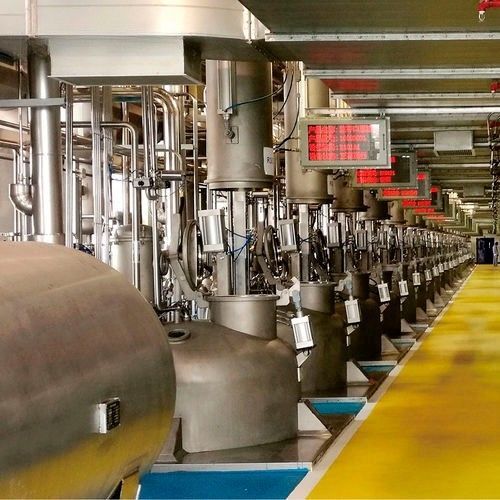 Ligne de production d'anthocyanes - Wenzhou Jinbang Light Ind Machinery Co., Ltd - automatique / pour l'industrie agroalimentaire