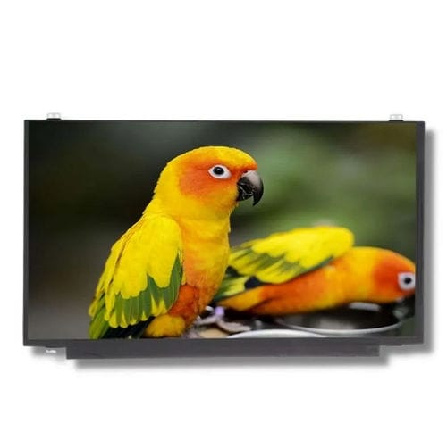 Module d'affichage 15.6" - TTX156XHT-01 - TAILOR PIXELS TECHNOLOGY CO., LTD. - TFT LCD / IPS / 1920 x 1080