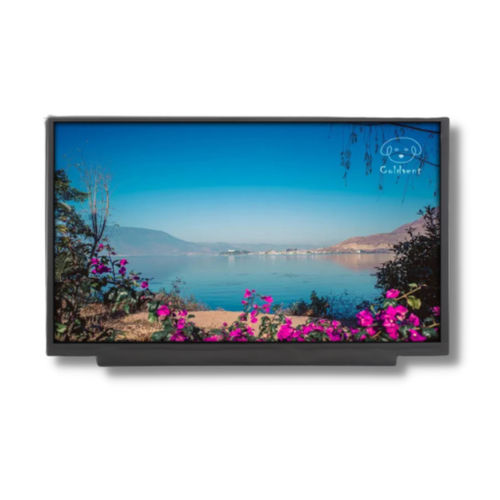 Module d'affichage TFT LCD - TTX116BHT-01 - TAILOR PIXELS TECHNOLOGY CO., LTD. - IPS / 1920 x 1080 / 11.6"