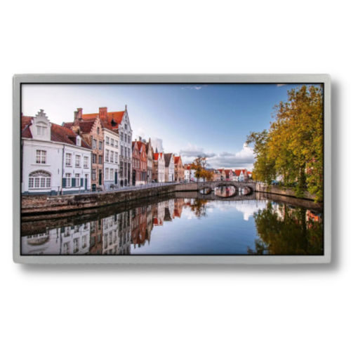 Module d'affichage TFT LCD -  TTX185BHT-01 - TAILOR PIXELS TECHNOLOGY CO., LTD. - IPS / 1920 x 1080 / 18.5"