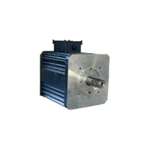 Servomoteur brushless - BRL 220 series - ACM engineering - AC / triphasé / 220 V