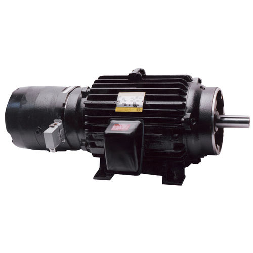 Moteur asynchrone - Black Max® - Magnetek - 3-phases / 220 V / avec frein