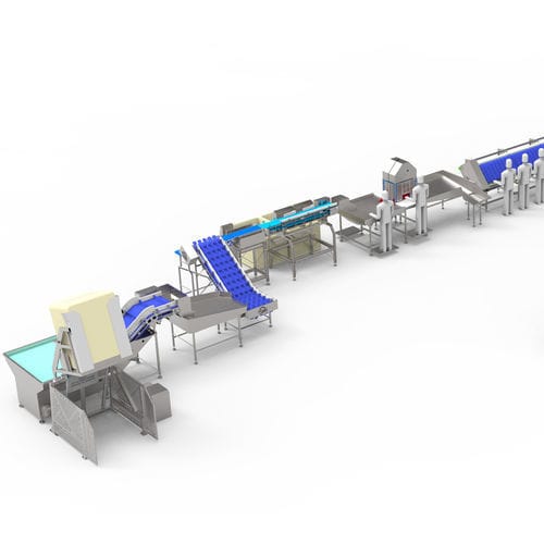 Ligne de transformation de truites - Arde Makine San. ve Tic. Ltd. Şti. - pour saumons / pour harengs / pour maquereaux
