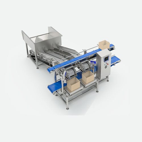 Ligne de conditionnement pour l'industrie agroalimentaire - TEMIC S.L.U. - de positionnement / pour produits alimentaires / automatique