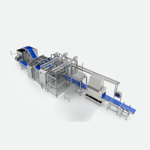 Ligne d'inspection pour la viande maigre - TEMIC S.L.U.