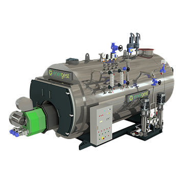 Chaudière à vapeur - ENERGEST Engenharia e Sistemas de Energia, S.A. - à biomasse