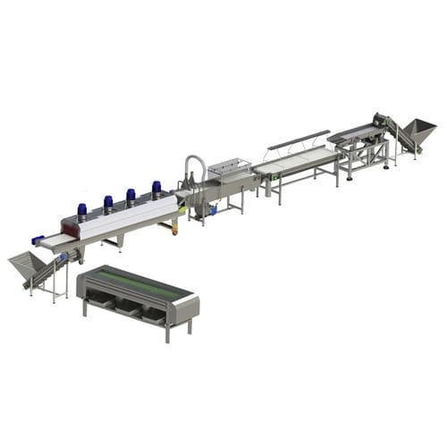 Ligne de transformation de dattes - Zibo Unique Machinery Co., Ltd. - de lavage / de calibrage