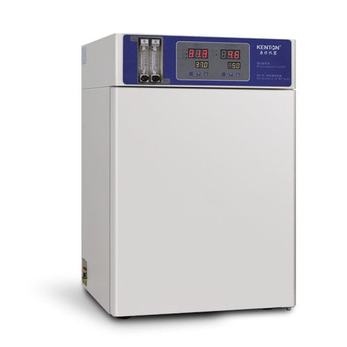 Incubateur à CO2 - HCP series  - Guangzhou Kenton Apparatus Co., Ltd. - pour culture cellulaire / pour cellules vivantes / pour la culture de bactéries