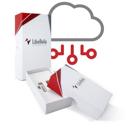 Logiciel de gestion - Libellula.CUT - Libellula S.r.l - de programmation / d'automatisation / de CFAO