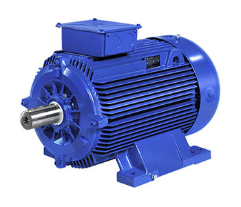 Moteur asynchrone - A5M - B5M series - Marelli Motori S.p.A. - AC / 100 V / en fonte