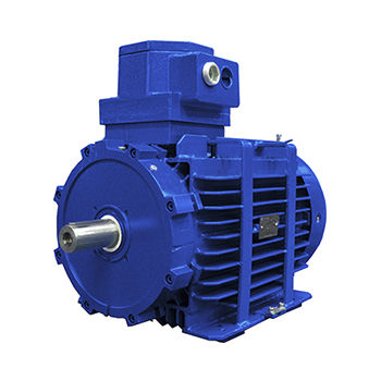 Moteur asynchrone - D5Y - D6Y - D5V series - Marelli Motori S.p.A. - AC / 690 V / résistant aux flammes